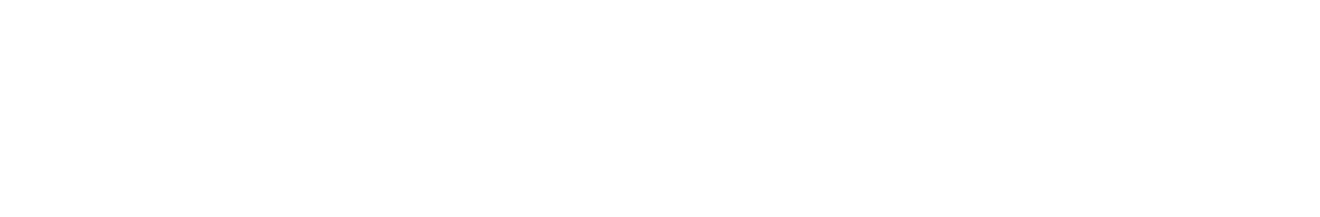 Wizenco